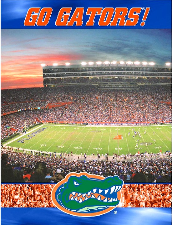 University of Florida Gators College Football Stadium Poster Print