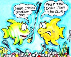 Funny Golf Photos on First The Balls  Then The Clubs Humorous Fish Golf Art Prints Posters
