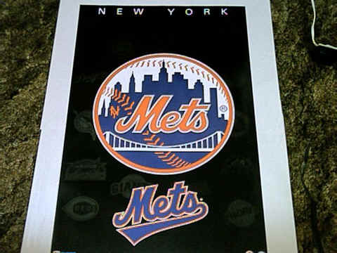 new york mets. New York Mets , a professional
